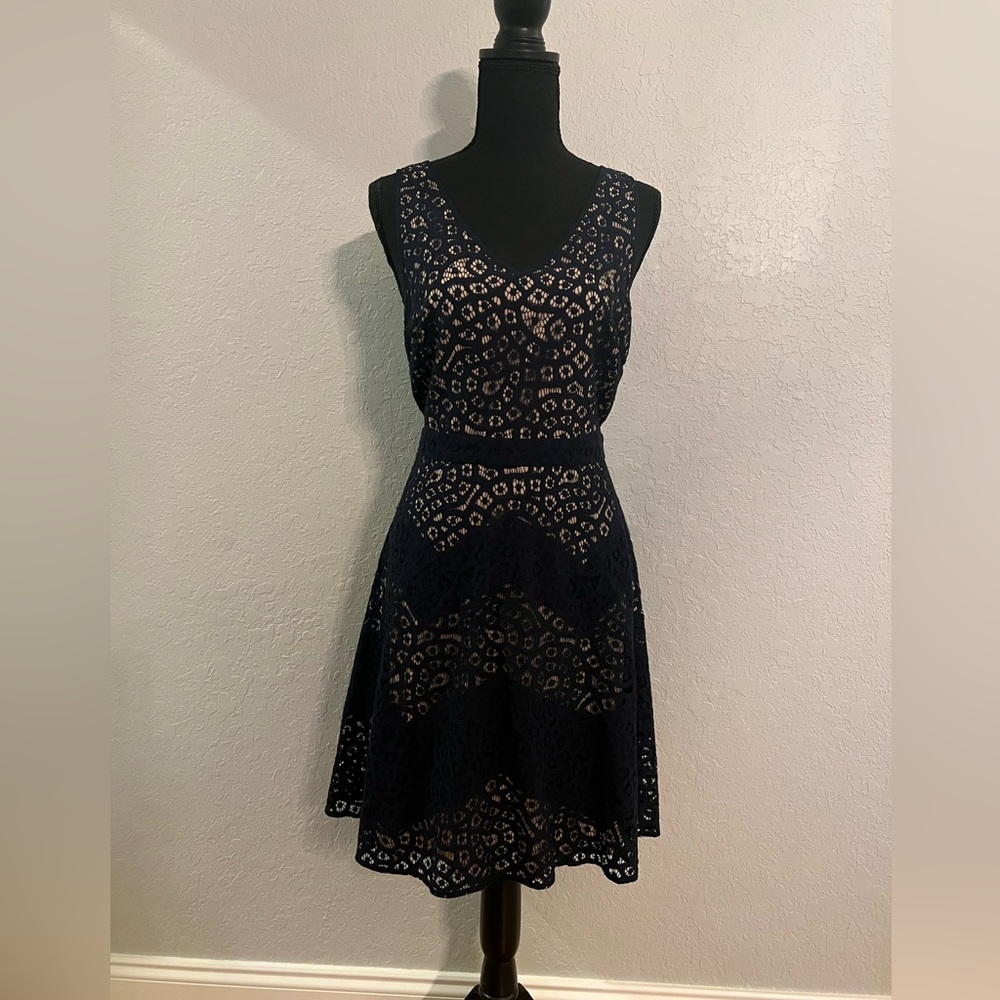 The Limited navy blue/beige cocktail dress, size 6